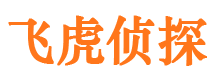 怀集市调查公司